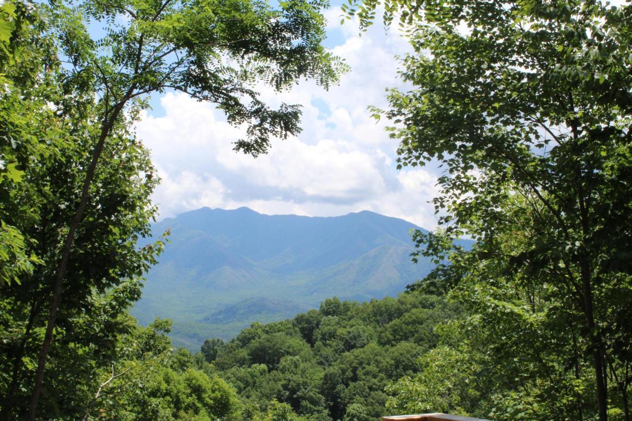 Hummingbird Villa Gatlinburg Exteriör bild
